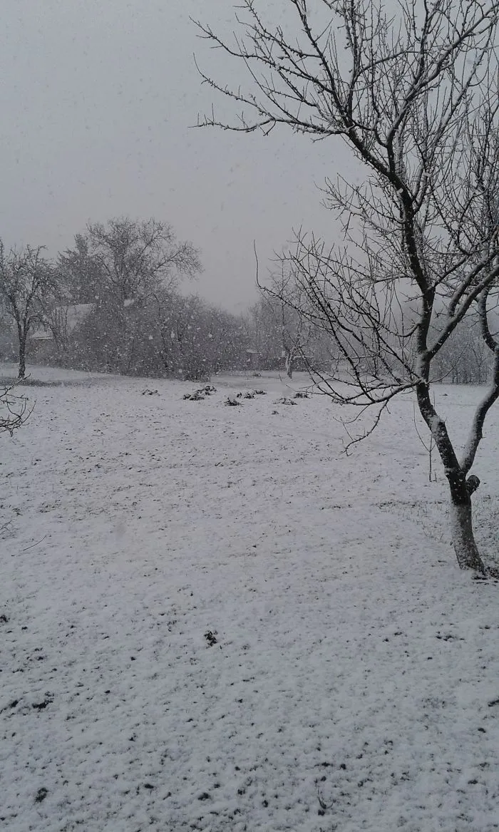 My Grandparents` House. Luka, Ukraine