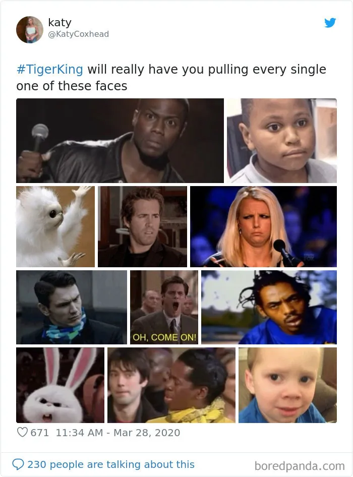 30 Best Memes Inspired By The Tiger King