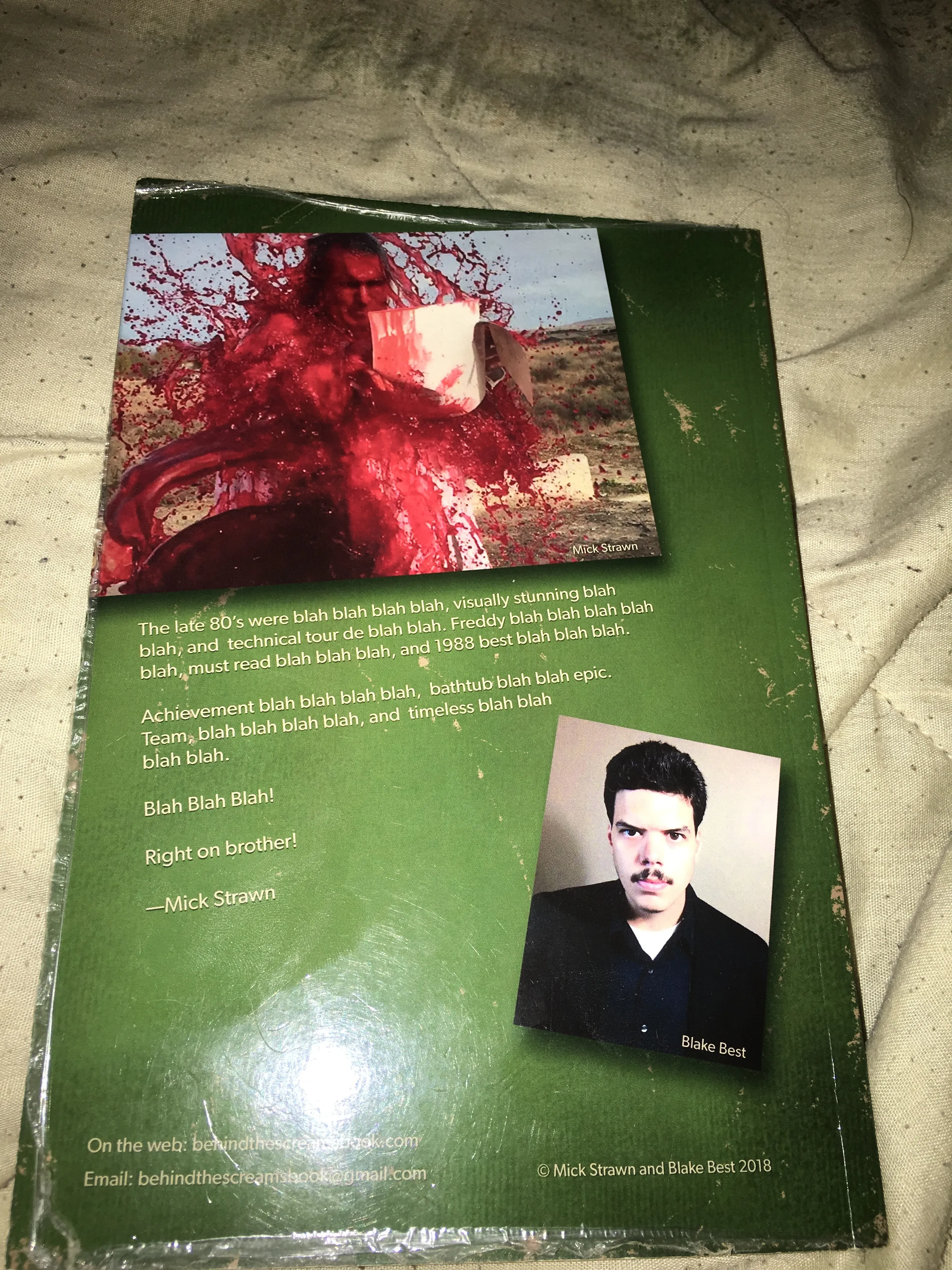 My Debut In Behind The Screams Dream Masters Revealed Book