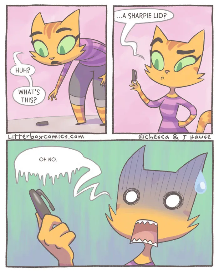 The Discovery