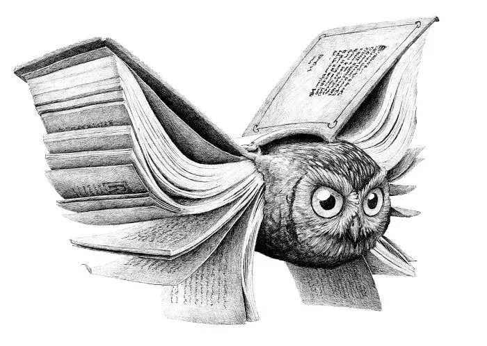 My 70 Drawings That Illustrate The Way My Mind Works