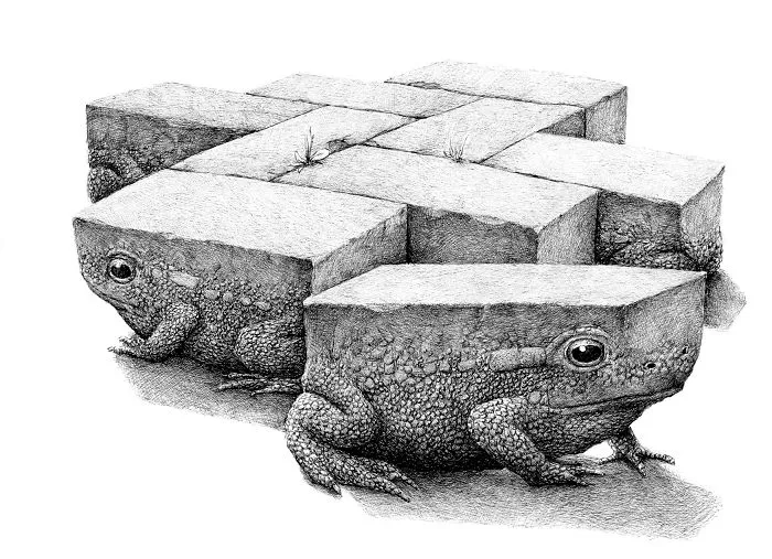 My 70 Drawings That Illustrate The Way My Mind Works