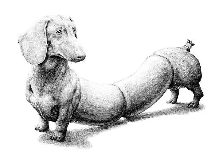 My 70 Drawings That Illustrate The Way My Mind Works
