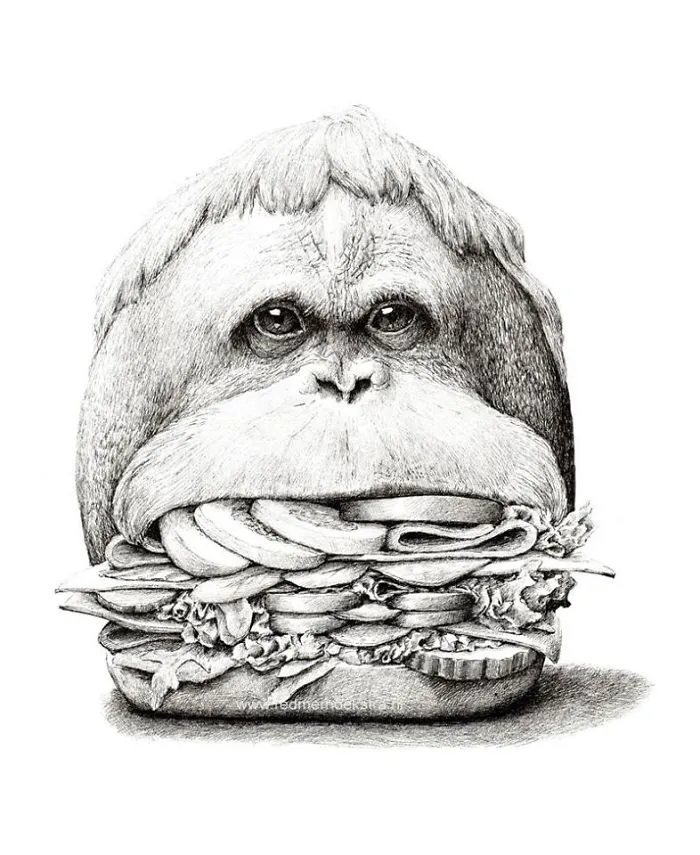 My 70 Drawings That Illustrate The Way My Mind Works