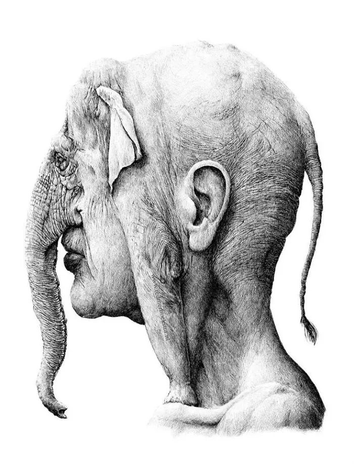 My 70 Drawings That Illustrate The Way My Mind Works