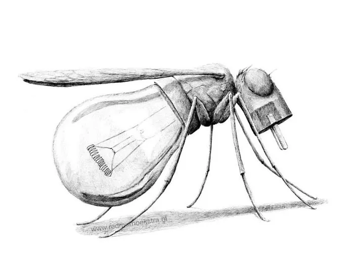 My 70 Drawings That Illustrate The Way My Mind Works