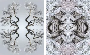 I Create Compositions Illustrating The Abstract Beauty Of Nature