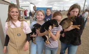 This Rescue Shelter Started By 4th Graders Has Saved 15,000 Dogs