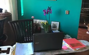 Hey, Pandas Who Are Now Forced To Work From Home, Post Your Workspace Setups