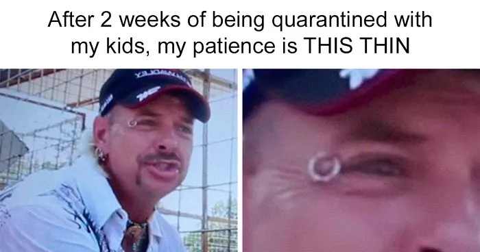 30 Best Memes Inspired By The Tiger King