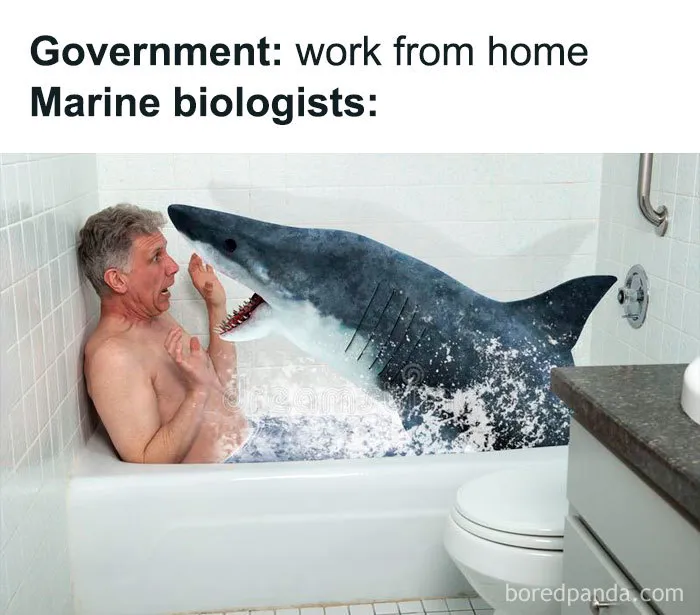 33 Working From Home Jokes That People Who Can’t Work From Home Will Get