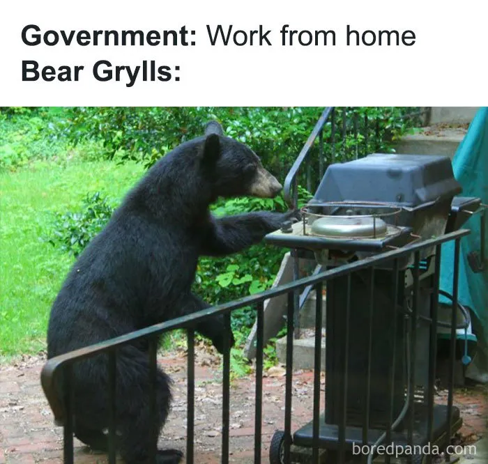 33 Working From Home Jokes That People Who Can’t Work From Home Will Get