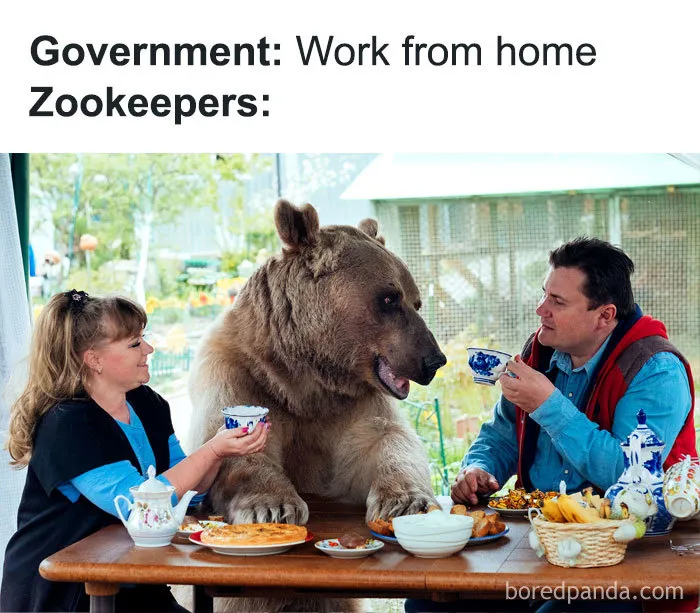 33 Working From Home Jokes That People Who Can’t Work From Home Will Get