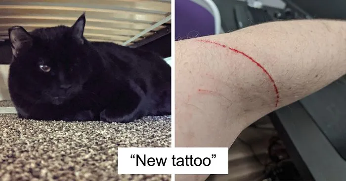30 Funny "Co-Worker" Updates From People Working From Home