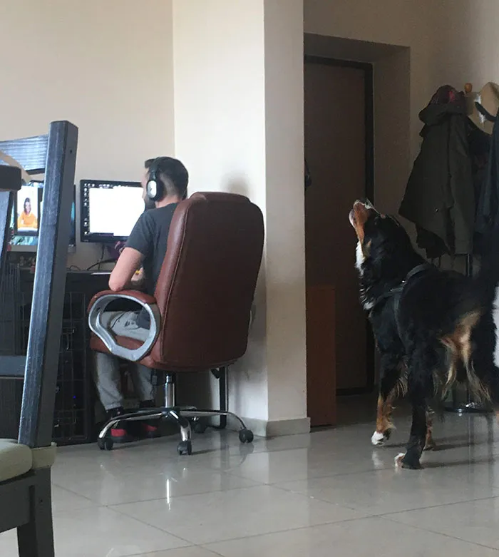 Si el humano está en videoconferencia, yo canto para todos ellos