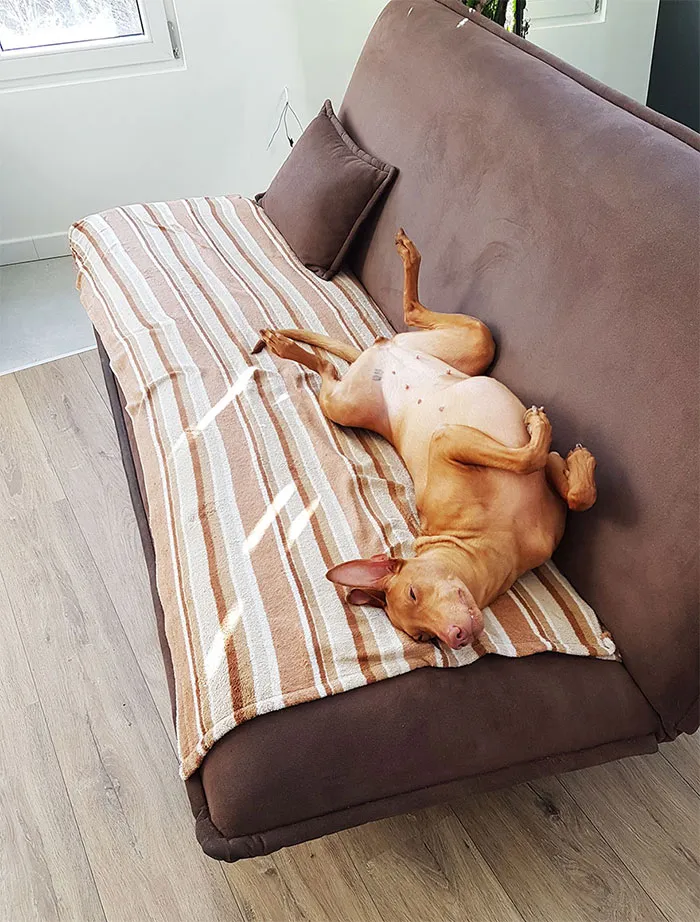 What To Do When You Catch Your Co-Worker Sleeping?