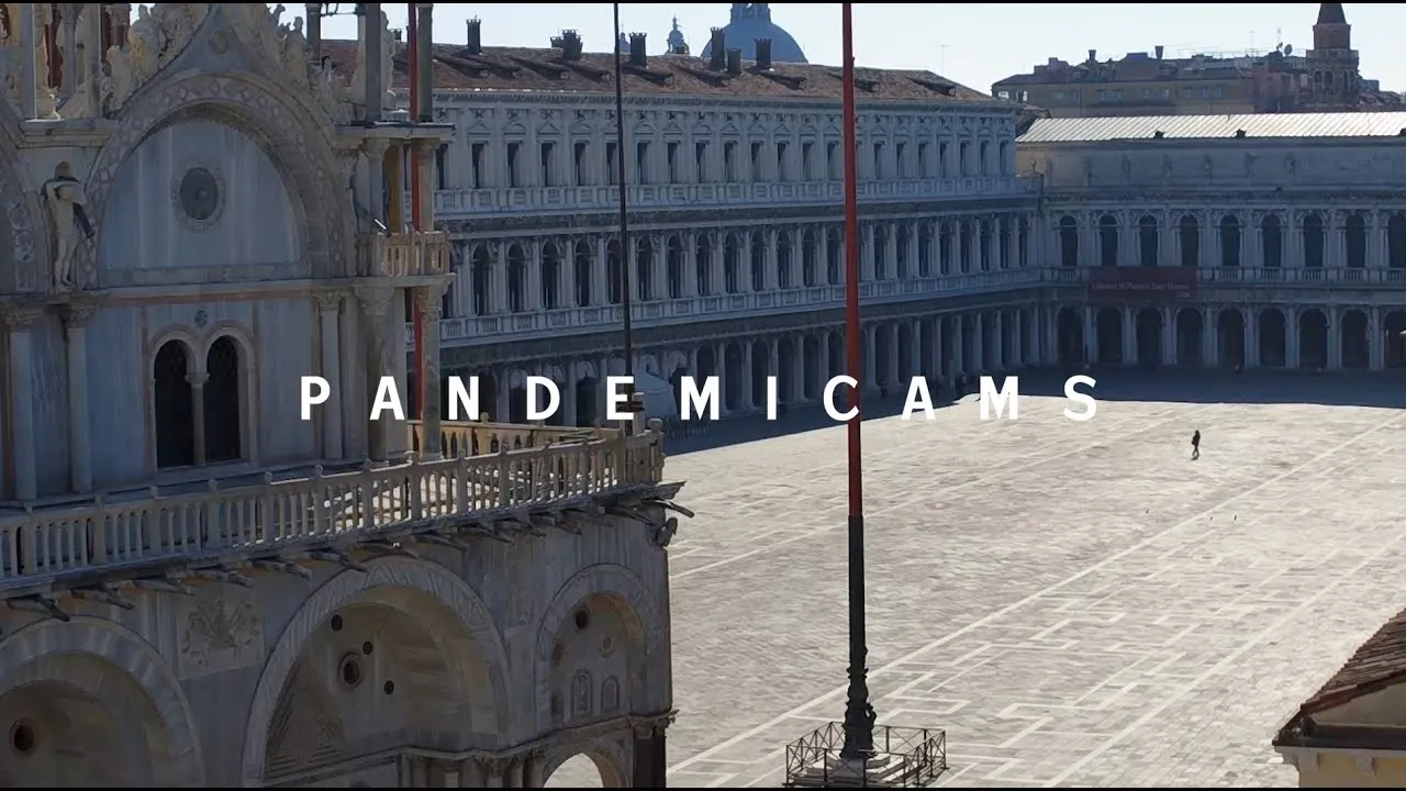 P  A  N  D  E  M  I  C  A  M  S