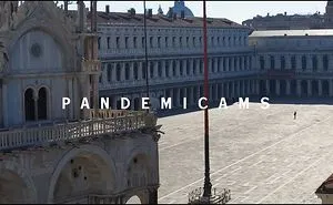P  A  N  D  E  M  I  C  A  M  S