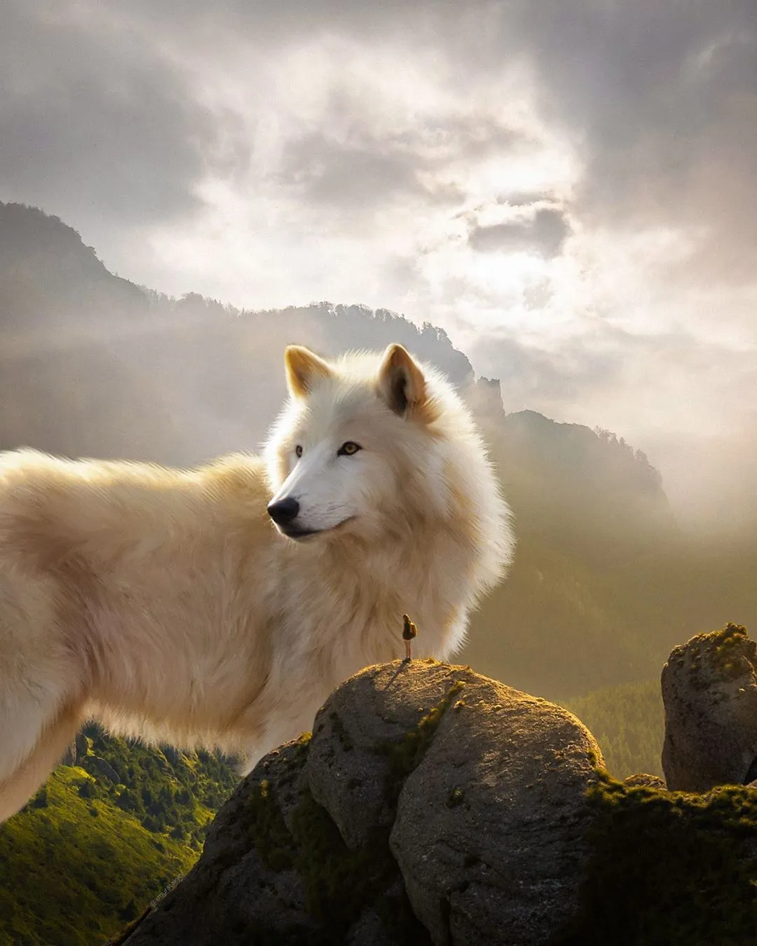 4 Fascinating Artistic Works On Manipulation
