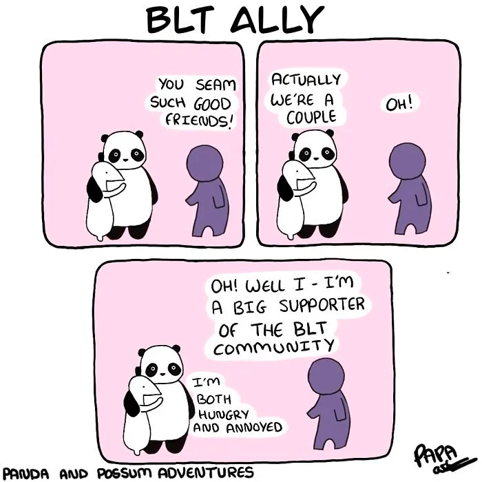 Panda And Possum Adventures- Webcomic