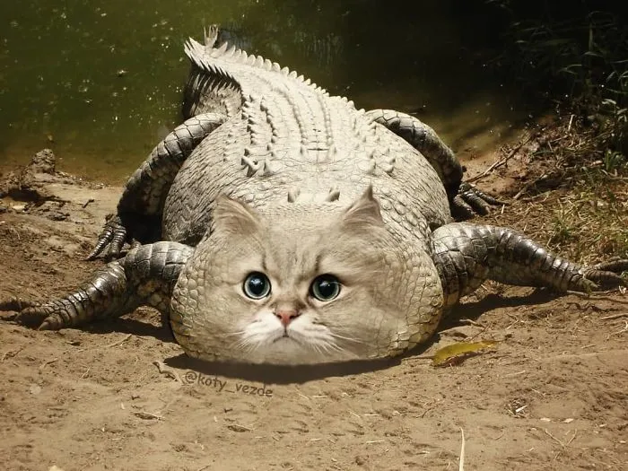 Someone Imagines What Everything Would Look Like If It Had A Cat’s Face And The Result Is Funny Yet Disturbing (30 New Pics)