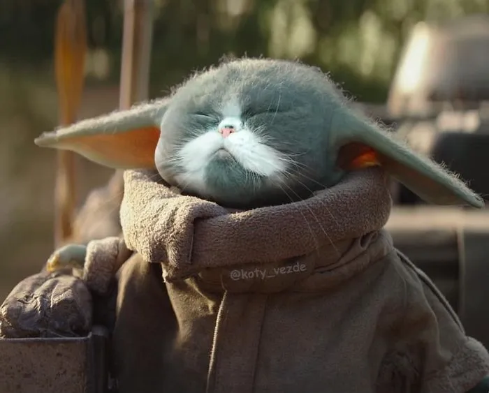 Someone Imagines What Everything Would Look Like If It Had A Cat’s Face And The Result Is Funny Yet Disturbing (30 New Pics)