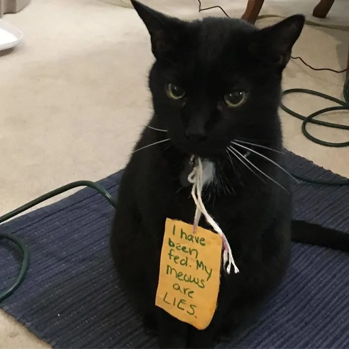 Left This Note For My Husband