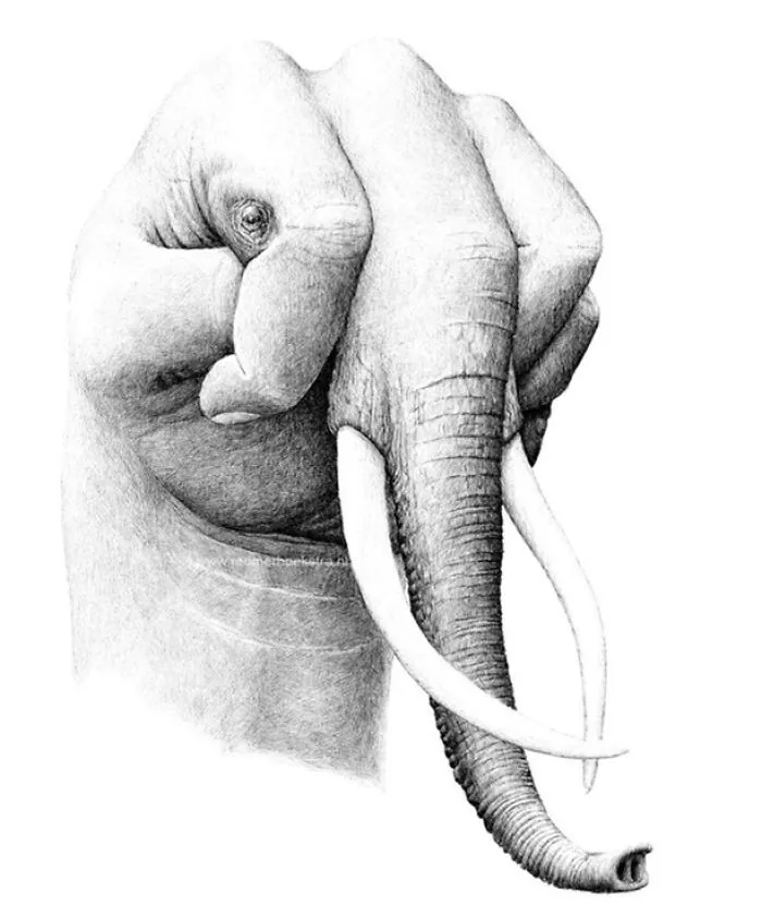 My 70 Drawings That Illustrate The Way My Mind Works