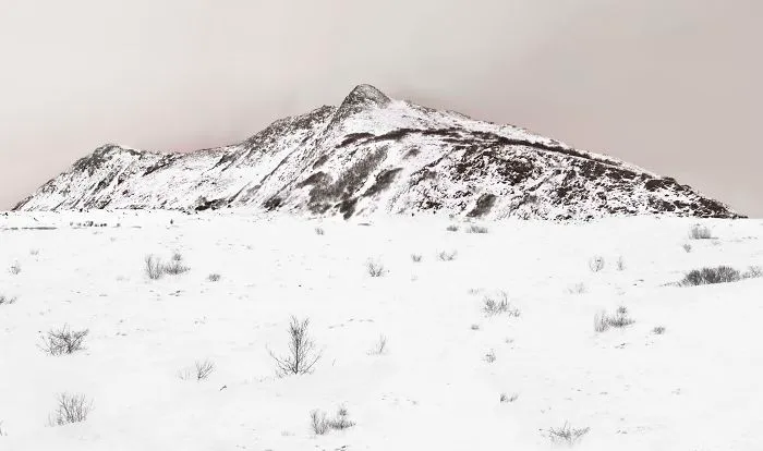 My Black And White Project