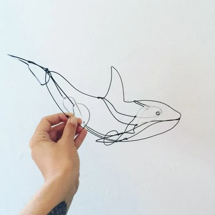Orca