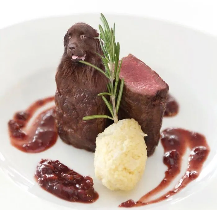 Instagram Account Photoshops Dogs Into Food And It's Hilariously Weird (90 Pics)