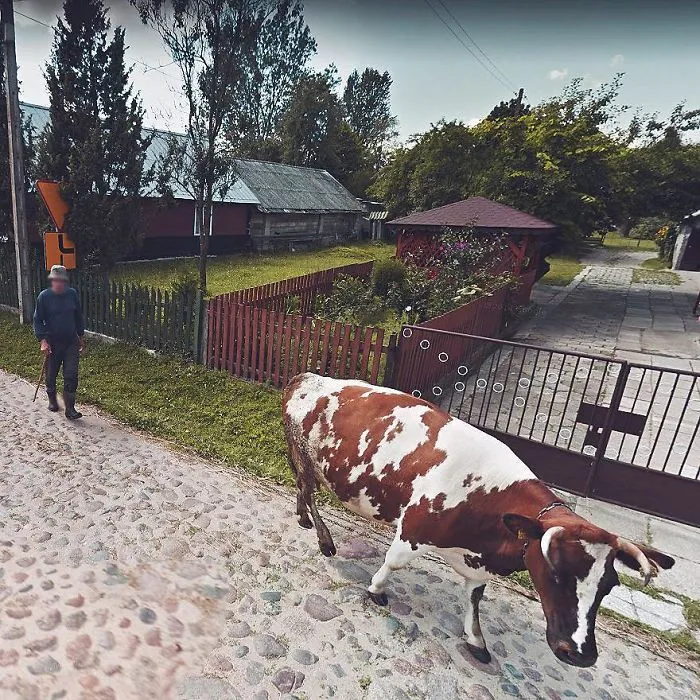 I Used Google Street View To Explore Poland During Quarantine, Here's What I Found (30 Pics)