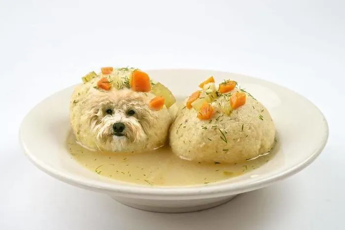 Instagram Account Photoshops Dogs Into Food And It's Hilariously Weird (90 Pics)