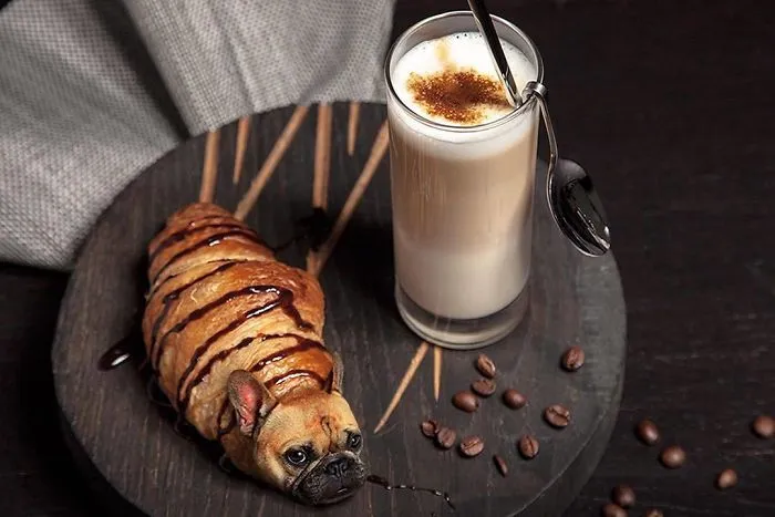 Instagram Account Photoshops Dogs Into Food And It's Hilariously Weird (90 Pics)
