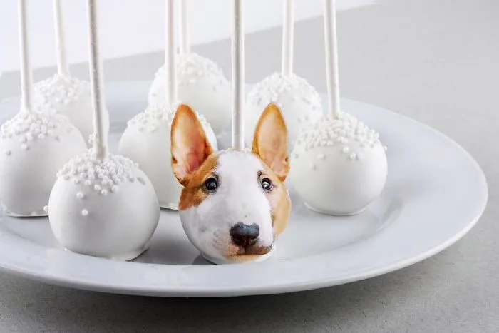 Instagram Account Photoshops Dogs Into Food And It's Hilariously Weird (90 Pics)
