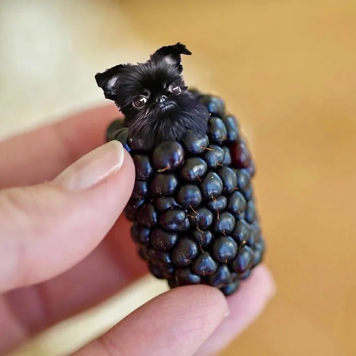 Instagram Account Photoshops Dogs Into Food And It's Hilariously Weird (90 Pics)