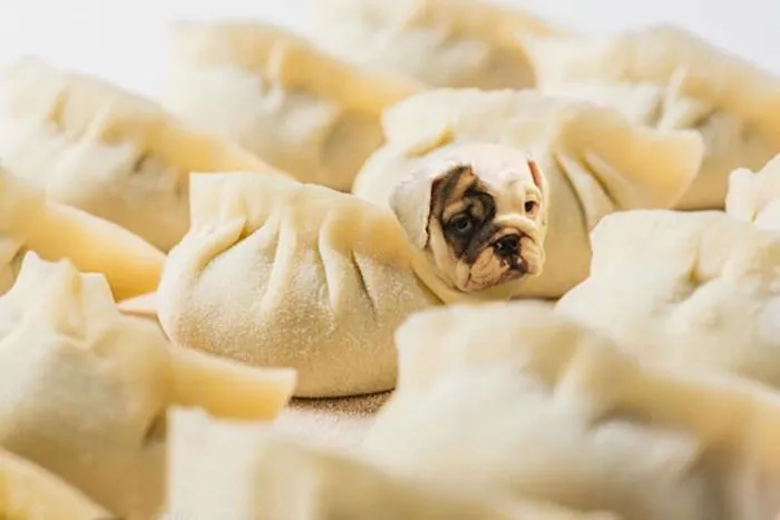 Instagram Account Photoshops Dogs Into Food And It's Hilariously Weird (90 Pics)