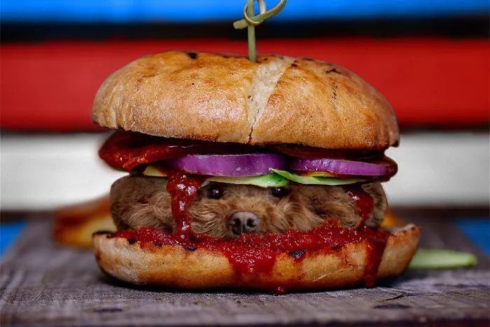 Instagram Account Photoshops Dogs Into Food And It's Hilariously Weird (90 Pics)