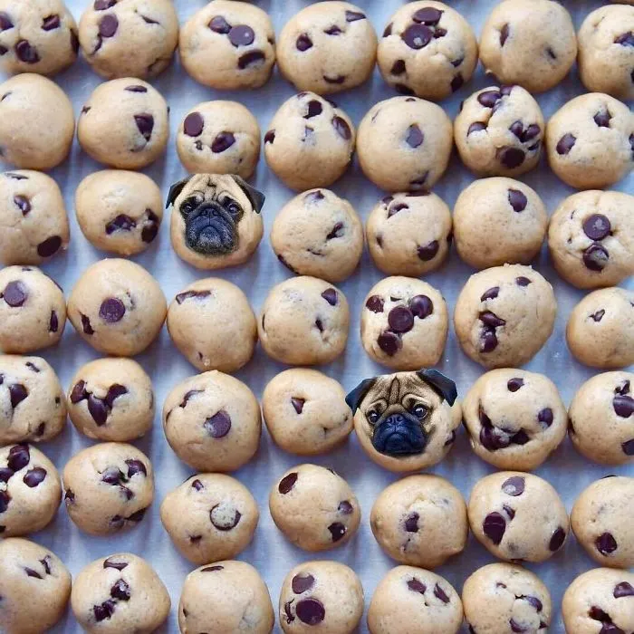 Instagram Account Photoshops Dogs Into Food And It's Hilariously Weird (90 Pics)