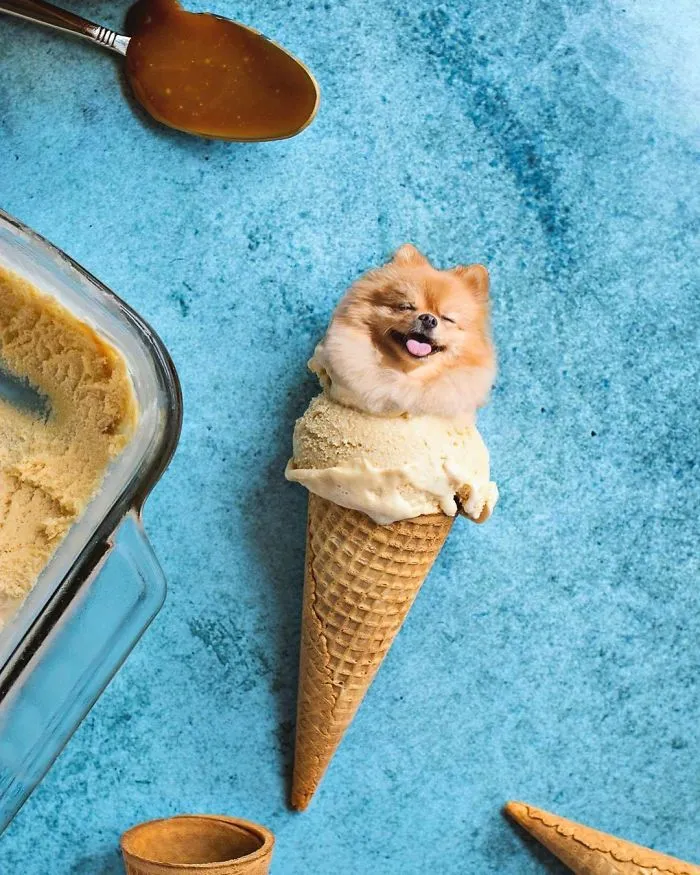 Instagram Account Photoshops Dogs Into Food And It's Hilariously Weird (90 Pics)