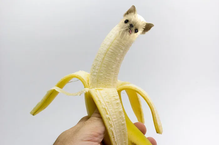 Instagram Account Photoshops Dogs Into Food And It's Hilariously Weird (90 Pics)
