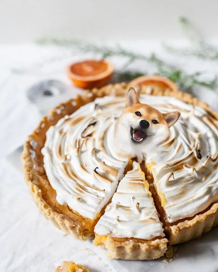 Instagram Account Photoshops Dogs Into Food And It's Hilariously Weird (90 Pics)