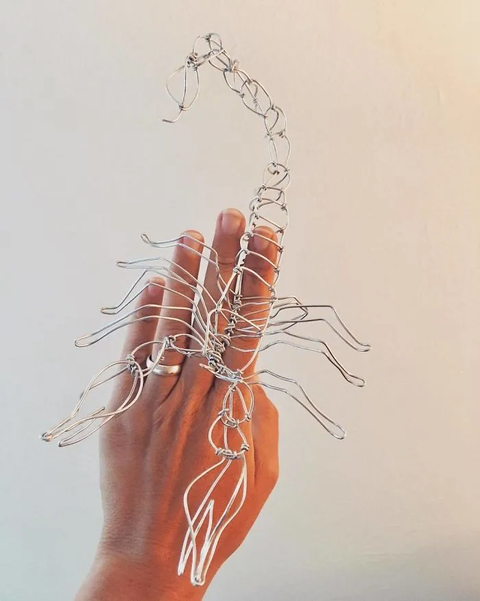 A Scorpion