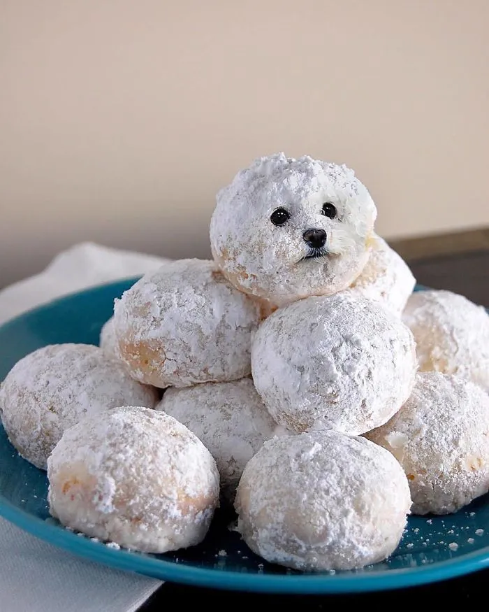 Instagram Account Photoshops Dogs Into Food And It's Hilariously Weird (90 Pics)