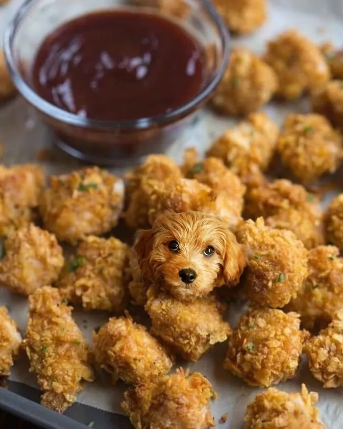 Instagram Account Photoshops Dogs Into Food And It's Hilariously Weird (90 Pics)