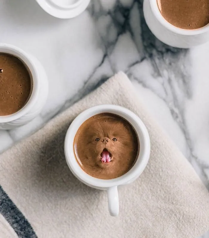 Instagram Account Photoshops Dogs Into Food And It's Hilariously Weird (90 Pics)
