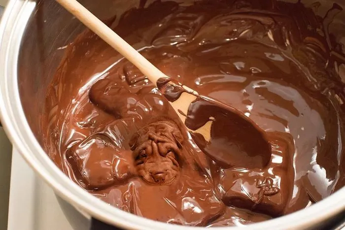 Instagram Account Photoshops Dogs Into Food And It's Hilariously Weird (90 Pics)