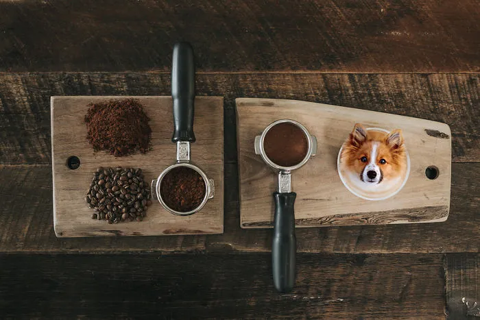 Instagram Account Photoshops Dogs Into Food And It's Hilariously Weird (90 Pics)