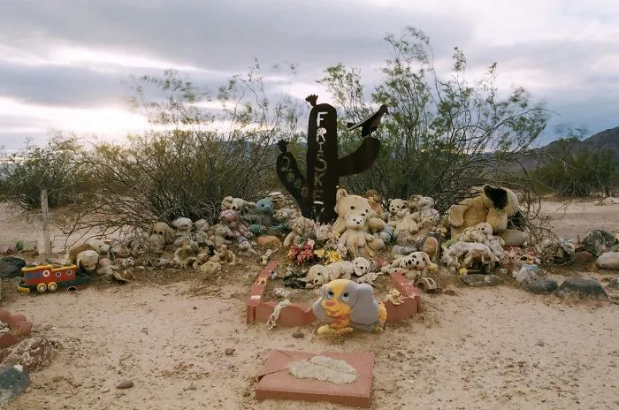This Pet Cemetery Can Be The Stuff Of Nightmares, But All I've Ever Felt Out There Is Love