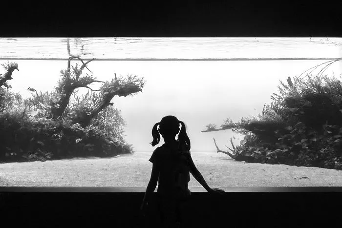 Aquarium